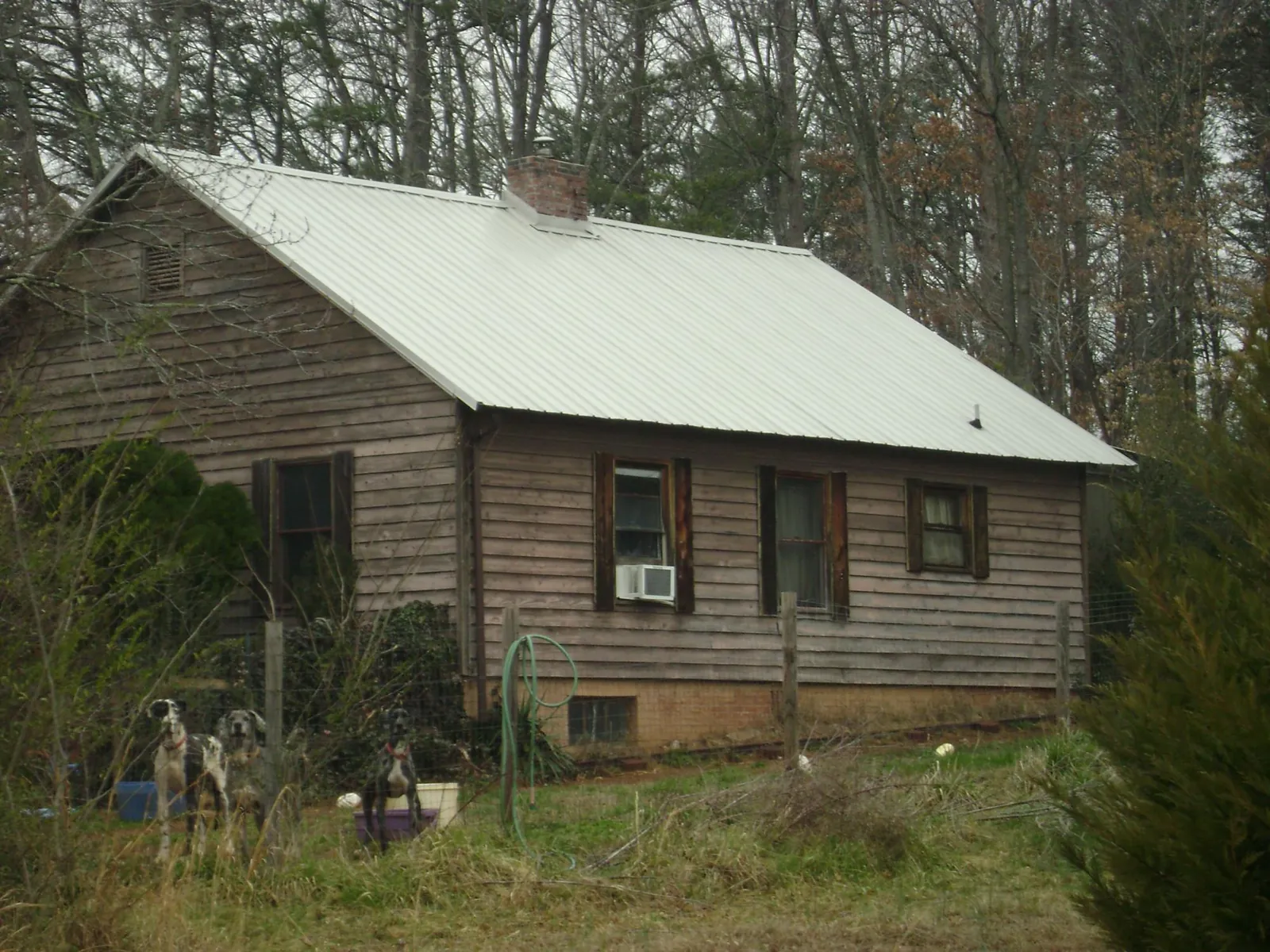 White metal roof on an old wood sided farmhouse, from a Metal Roof Installation job in New Carlisle